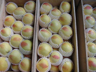 亚洲AV成人精品网站在线播放