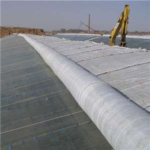 亚洲AV成人精品网站在线播放