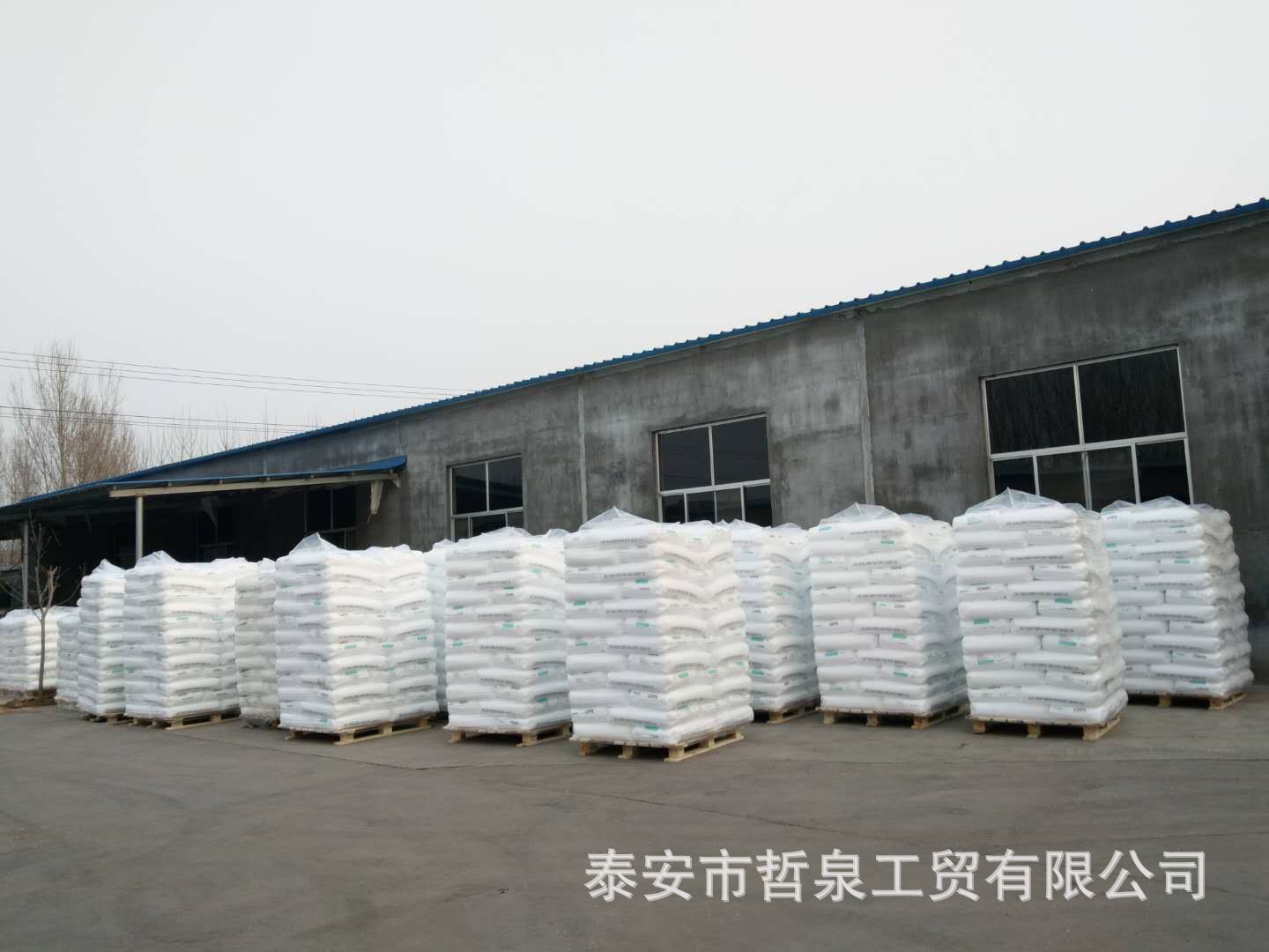 亚洲AV成人精品网站在线播放