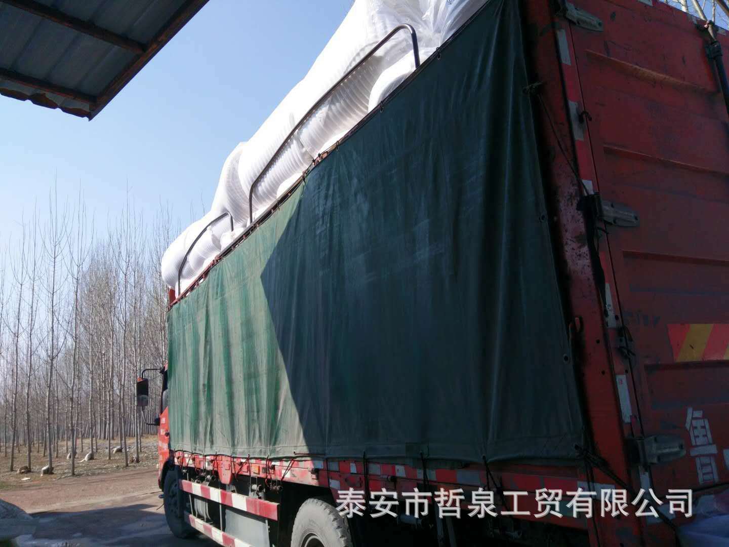亚洲AV成人精品网站在线播放