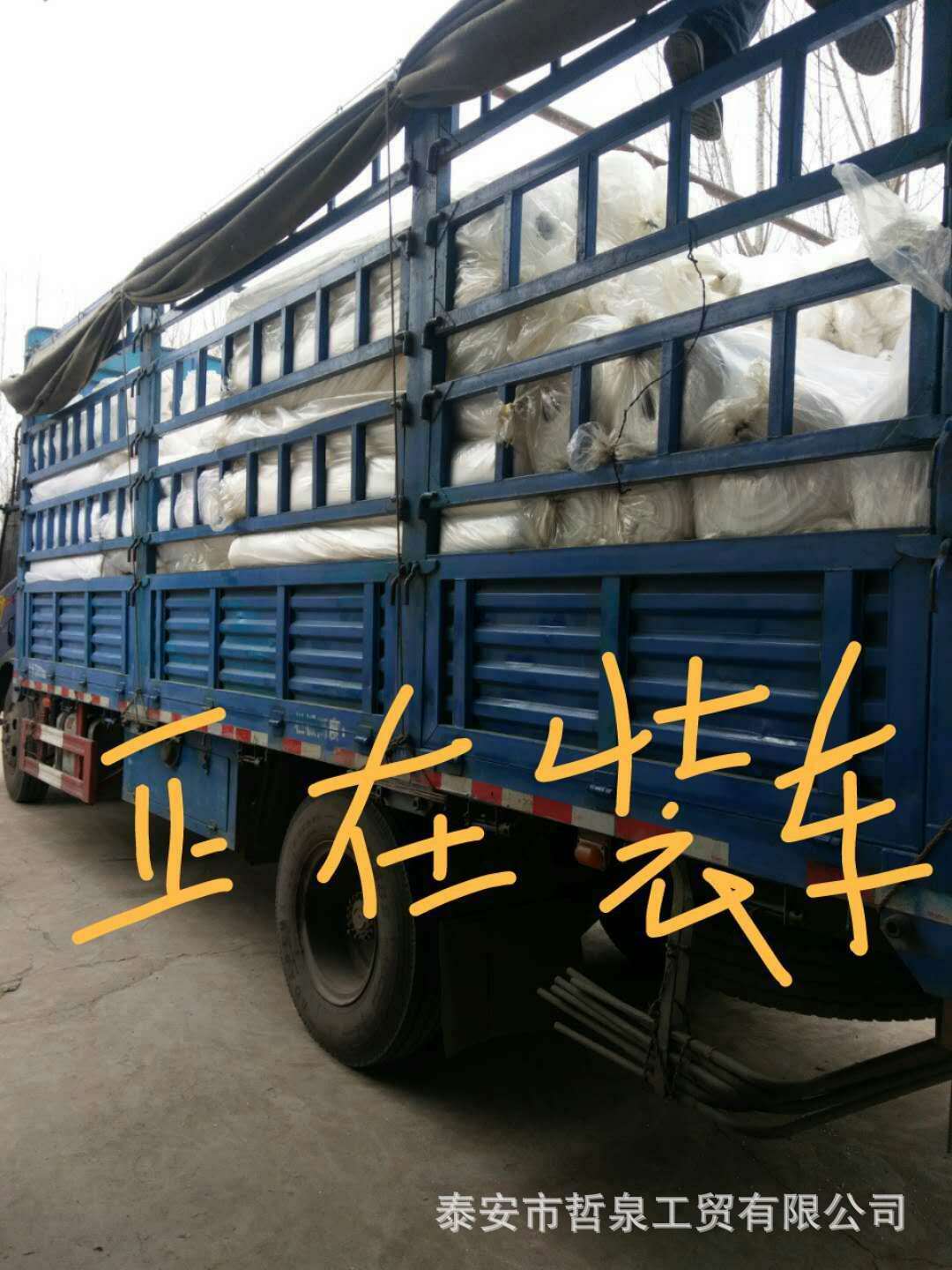 亚洲AV成人精品网站在线播放