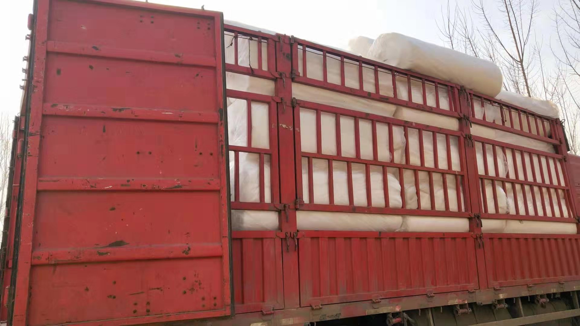 亚洲AV成人精品网站在线播放