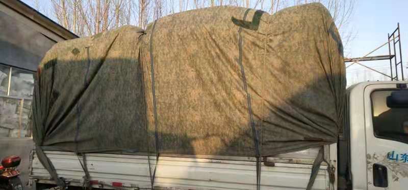 亚洲AV成人精品网站在线播放